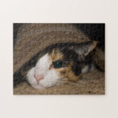 Calico Taco Puzzle (Horizontal)