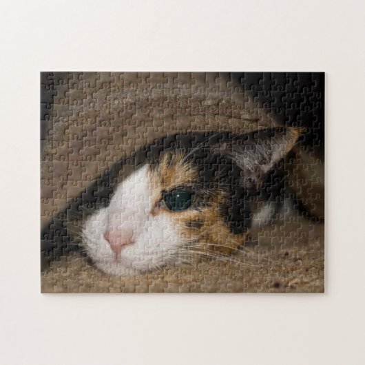 Calico Taco Puzzle (Horizontal)