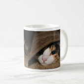 Calico Taco Tasse (VorderseiteRechts)
