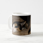 Calico Taco Tasse (Vorderseite Links)