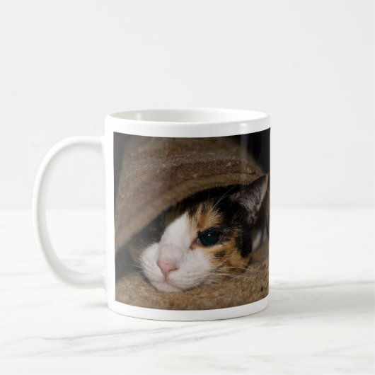 Calico Taco Tasse (Links)