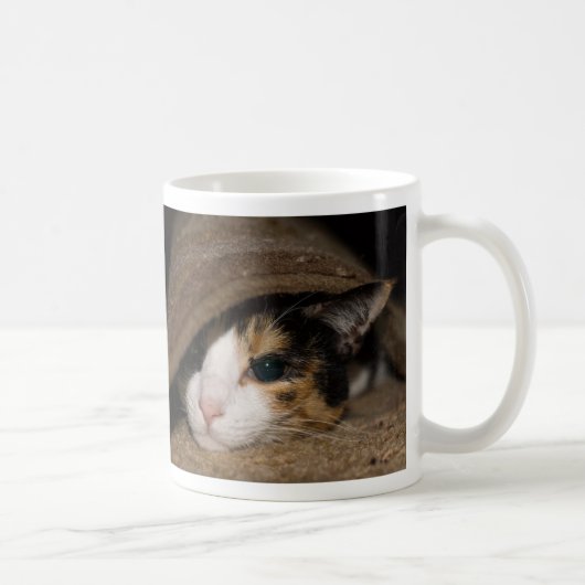 Calico Taco Tasse (Rechts)