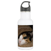 Calico Taco Trinkflasche (Vorderseite)