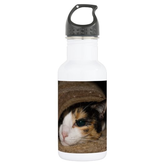 Calico Taco Trinkflasche (Vorderseite)