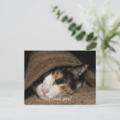 Calico Taco Vielen Dank Postcard Postkarte (Stehend Vorderseite)