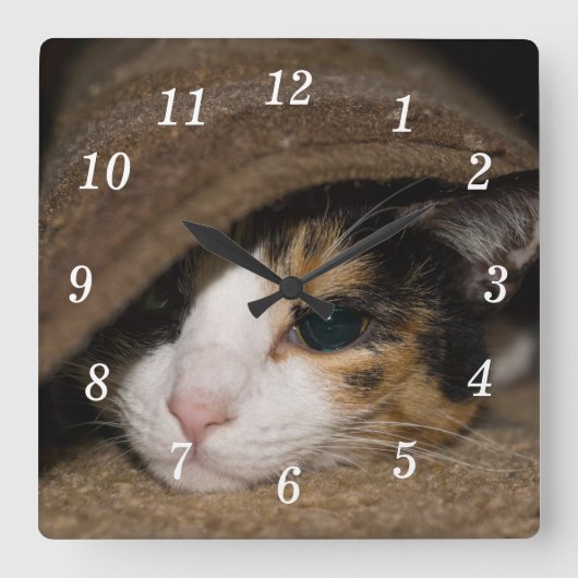 Calico Taco Wall Clock Quadratische Wanduhr (Vorderseite)