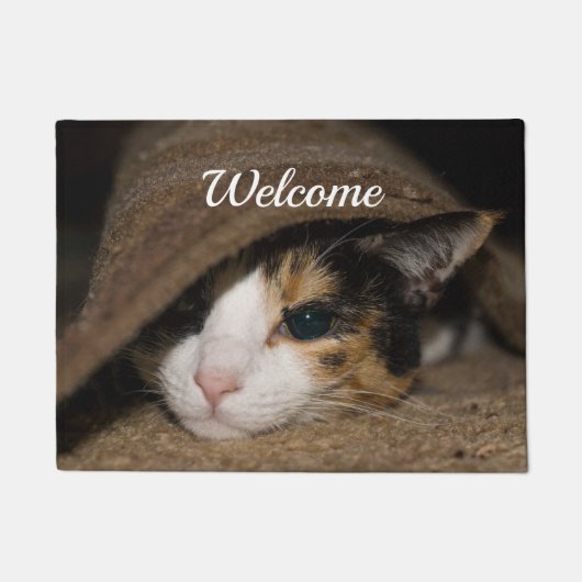 Calico Taco Welcome Doormat Fußmatte (Vorderseite)