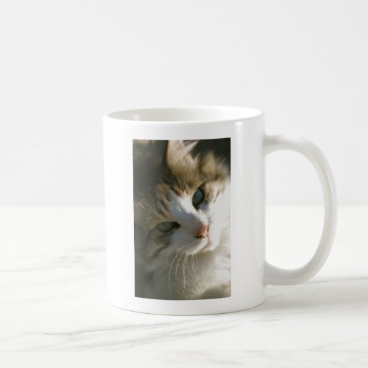 Calico Tiger Cat Kaffeetasse (Rechts)