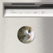 Calico Tiger Cat Magnet (In Situ (Geschirrspüler))