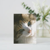Calico Tiger Cat Postkarte (Stehend Vorderseite)