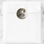 Calico Tiger Cat Runder Aufkleber (Tasche)