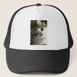 Calico Tiger Cat Truckerkappe