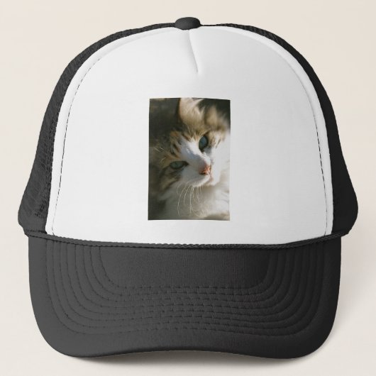 Calico Tiger Cat Truckerkappe (Vorderseite)