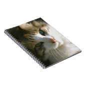 Calico Tiger Kitty Notizblock (Rechte Seite)