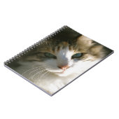 Calico Tiger Kitty Notizblock (Linke Seite)