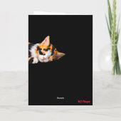 Calico Tulip Karte (Rückseite)