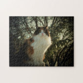 Calico und Pine oder Ihr Foto-Puzzle Puzzle (Horizontal)