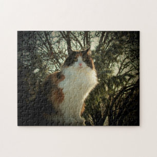 Calico und Pine oder Ihr Foto-Puzzle Puzzle