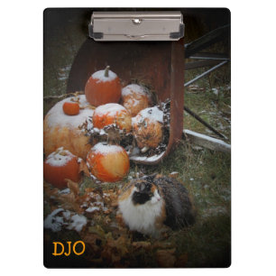Calico und Pumpkins suchen nach Schnee Klemmbrett