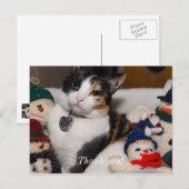 Calico und Snowmen Postkarte (Vorne/Hinten)
