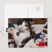 Calico und Snowmen Postkarte (Vorne/Hinten)