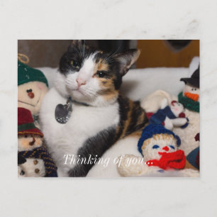 Calico und Snowmen Postkarte