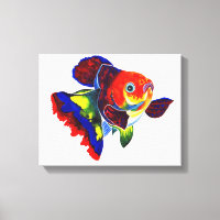 Calico Veiltail Goldfish Leinwanddruck