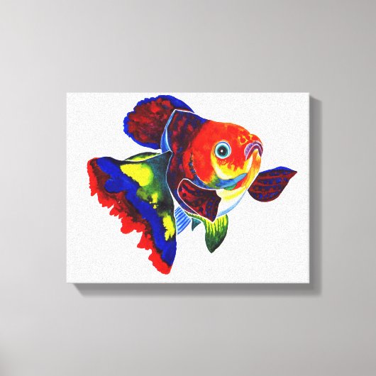 Calico Veiltail Goldfish Leinwanddruck (Vorderseite)