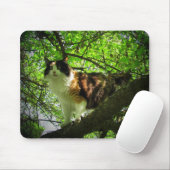 Calico-Vogeljäger Mousepad (Mit Mouse)