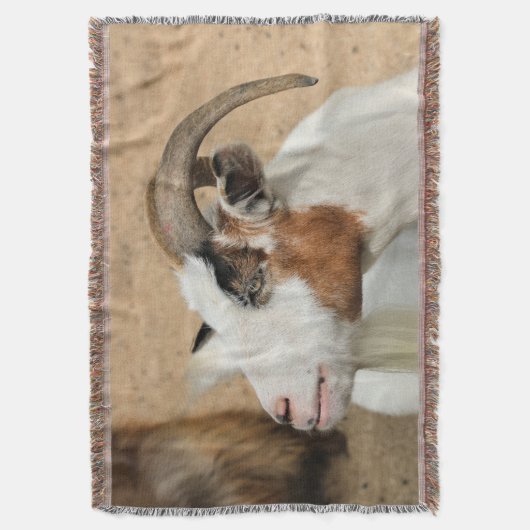 Calico-Ziege Decke (Vorderseite Vertikal)