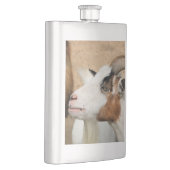 Calico-Ziege Flachmann (Rechts)