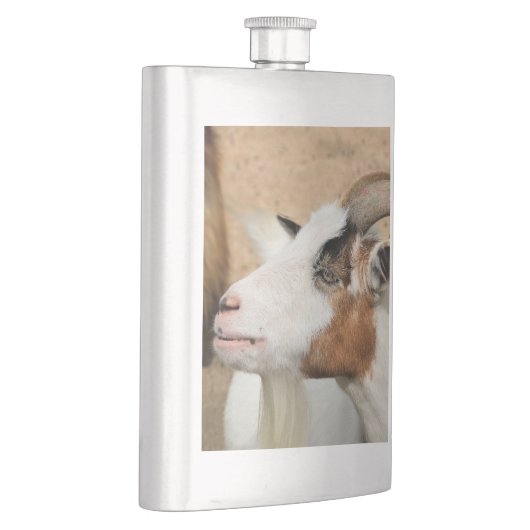 Calico-Ziege Flachmann (Rechts)