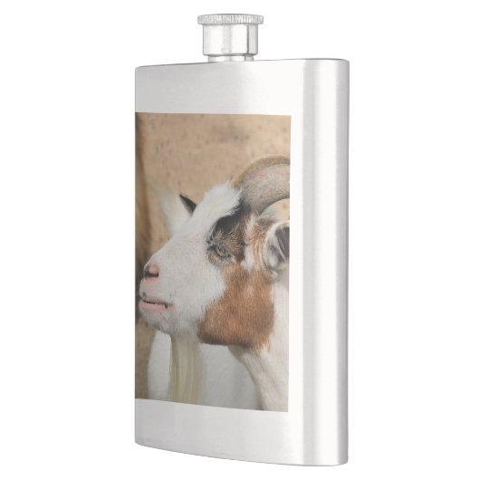 Calico-Ziege Flachmann (Links)