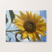 California, A Mammoth Sunflower (Helianthus) 4 Puzzle (Horizontal)