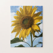 California, A Mammoth Sunflower (Helianthus) 4 Puzzle (Vertikal)