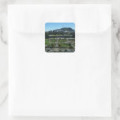 California Academy of Sciences #3 Stickers (Tasche)