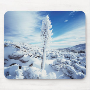 California, Anza Borrego Wüste Staat Park 2 Mousepad