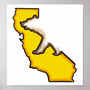 California Bären Staat Symbol Wandplakat Poster