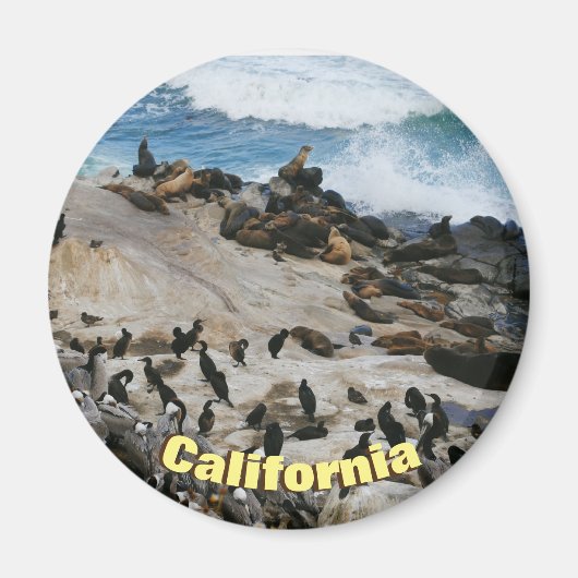 California Beach Magnet (Vorne)