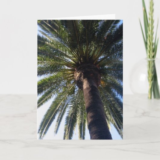 California Beach Palm Custom Foto Grußkarten Karte (Vorderseite)