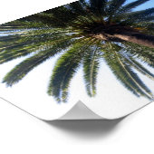 California Beach Palm Tree Custom Poster Art (Ecke)