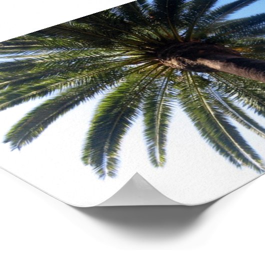 California Beach Palm Tree Custom Poster Art (Ecke)