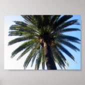 California Beach Palm Tree Custom Poster Art (Vorne)