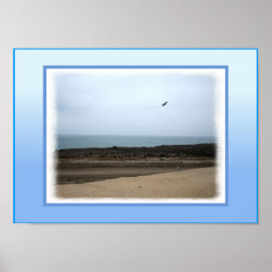 California Beach Poster