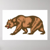 California Bear Poster (Vorne)