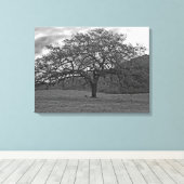 California Black Oak Tree Sepia Leinwanddruck (Insitu (Holzboden))