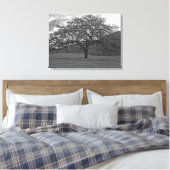 California Black Oak Tree Sepia Leinwanddruck (Insitu (Schlafzimmer))