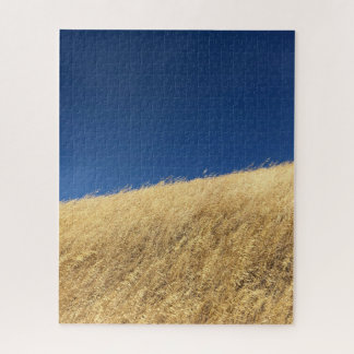 California Blue & Gold Puzzle