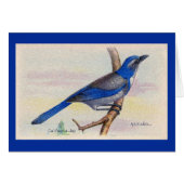 California Blue Jay Bird Danke Karte (Vorderseite (Horizontal))