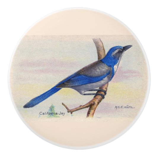 California Blue Jay Knob Keramikknauf (Vorderseite)